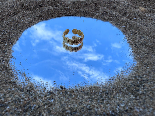Shell’s Ring